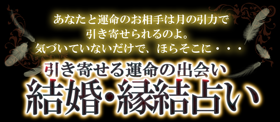 あなたと運命のお相手は月の引力で引き寄せられるのよ。気づいていないだけで、ほらそこに・・・　引き寄せる運命の出会い結婚・緑結占い